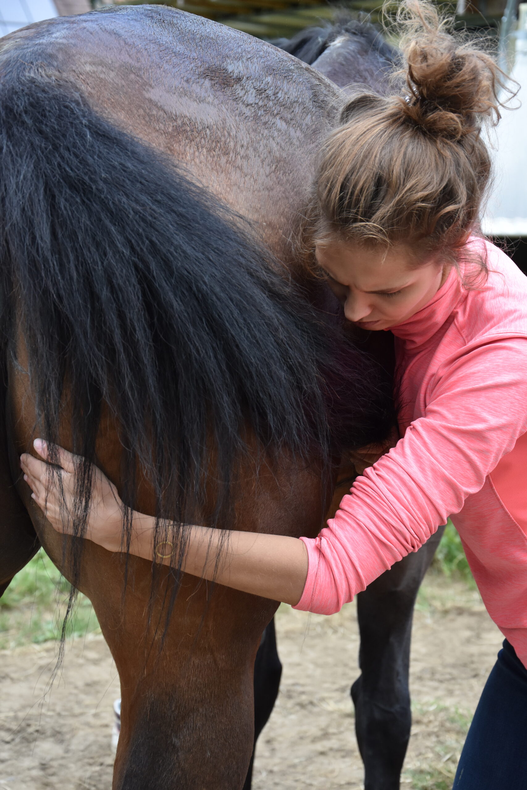 0C8F6FA0-891A-4108-9E13-C968FBA9A65A