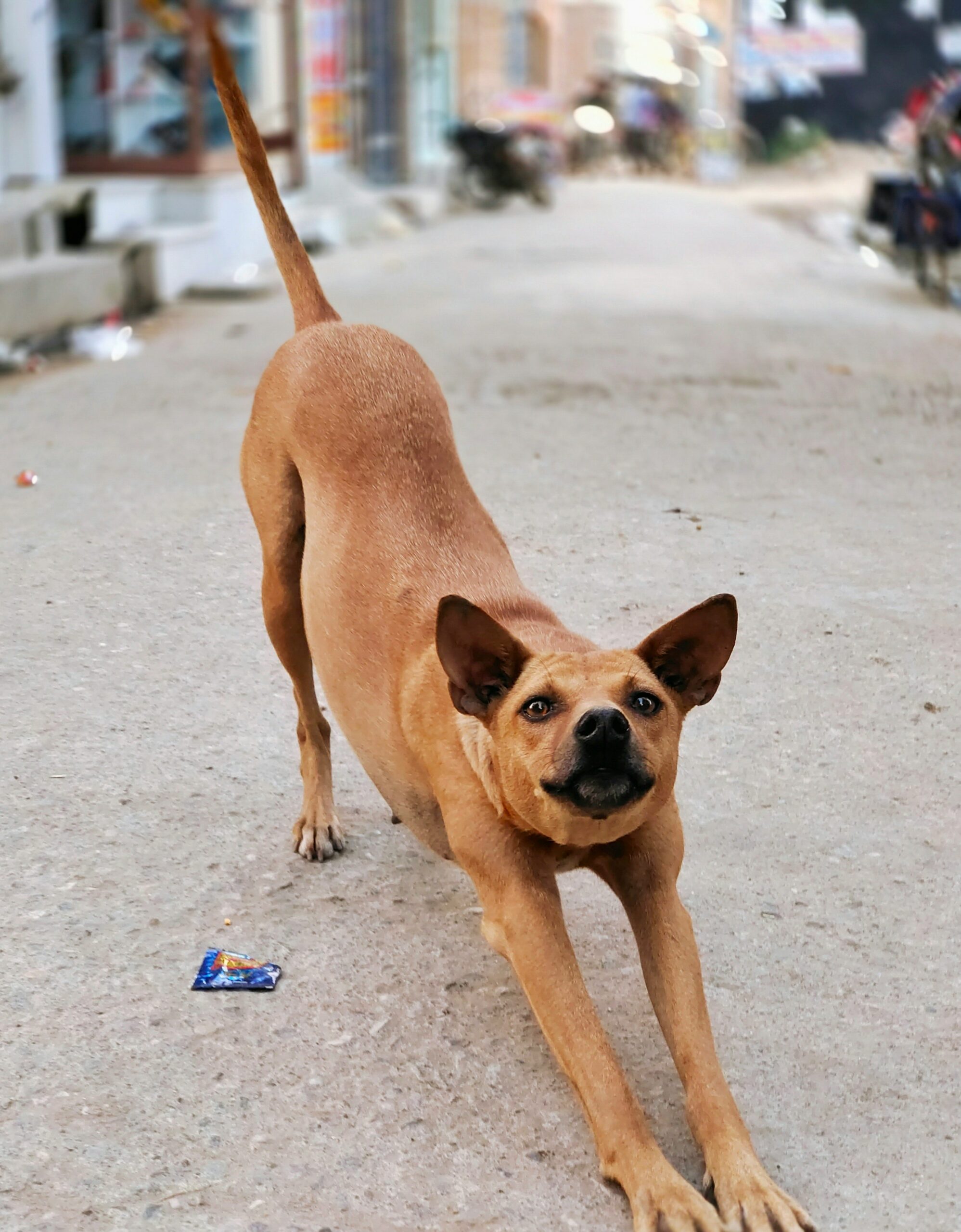 atul-sainy-6ZlwZjaHivs-unsplash